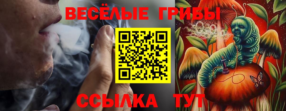 Псилоцибиновые грибы мухоморы Скопин