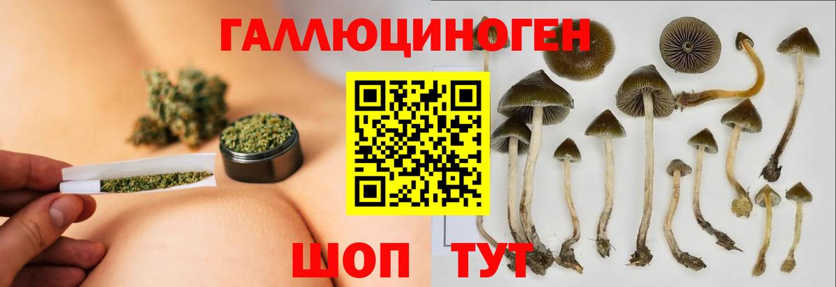 Скопин  Псилоцибиновые грибы Psilocybe  Вход с VPN 